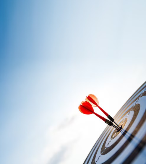 our-mission-494x418 our mission